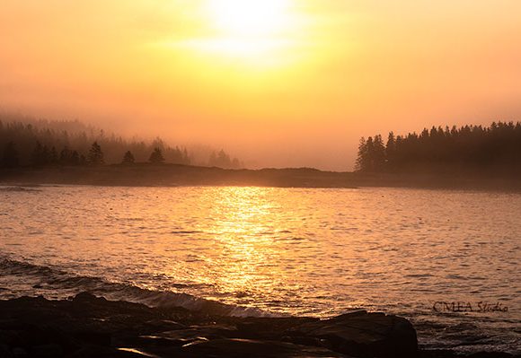 Acadia in the Morning