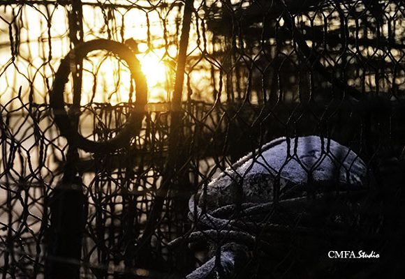 Frosty Maryland Morning