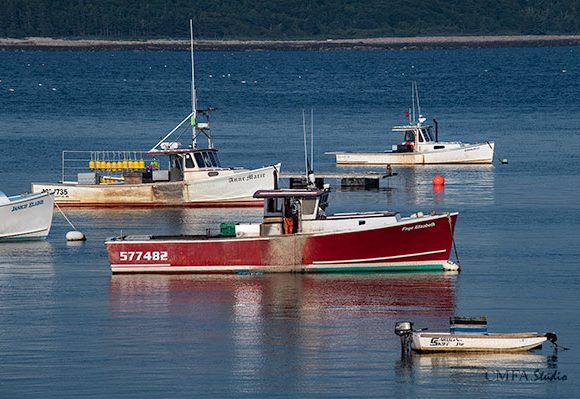 The Faye Elizabeth at Rest